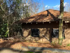 The Jackson Zoo