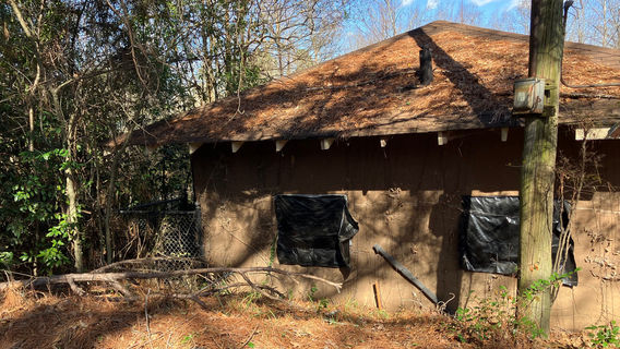 ジャクソン動物園