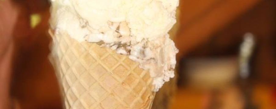 Municipio de Traphill