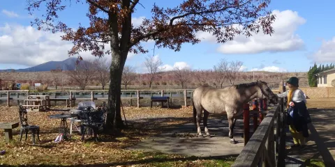 國立公園九重山牧場