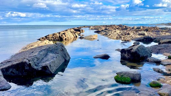 Crail Harbour scotland