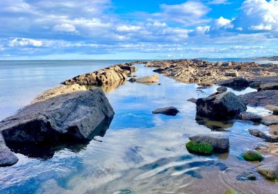 Crail