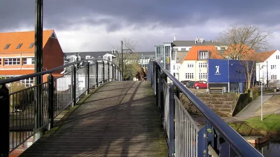 Jesu Hånd Livets Kilde Og Odins Øje