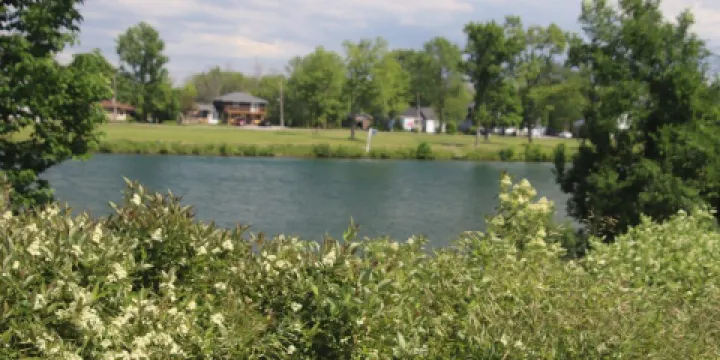 Mud Lake Conservation Park