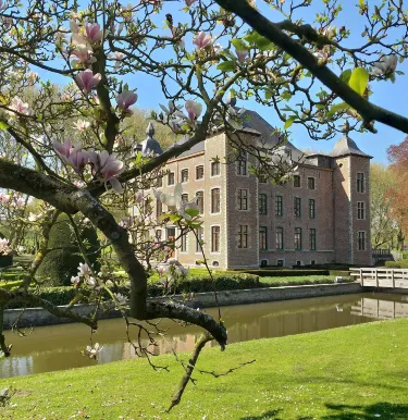 Sint-Pieters-Leeuw