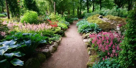 Enemaerkets Hostahave