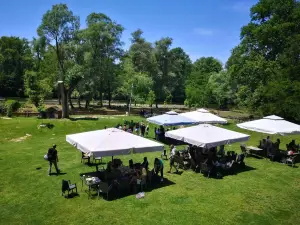 Forestis outdoor activities