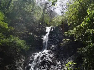 Diria National Park