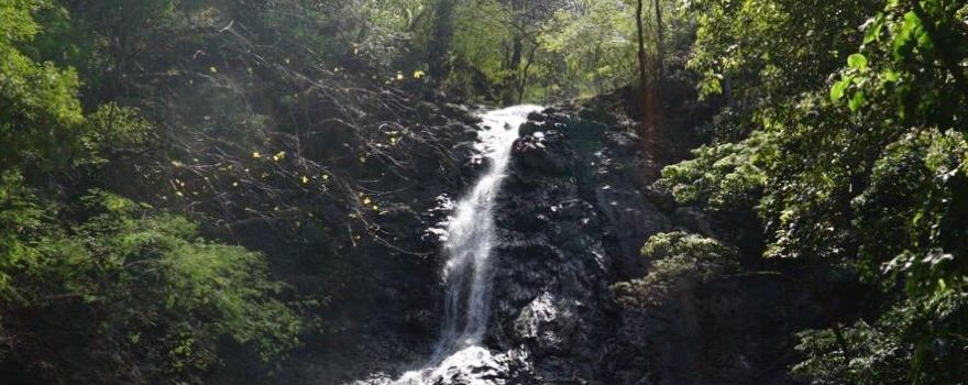 Diria National Park