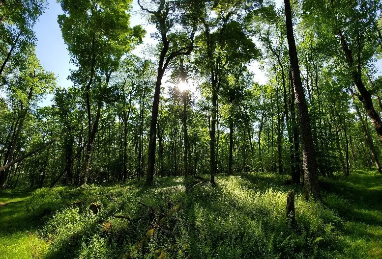 5_Herrington Manor State Park