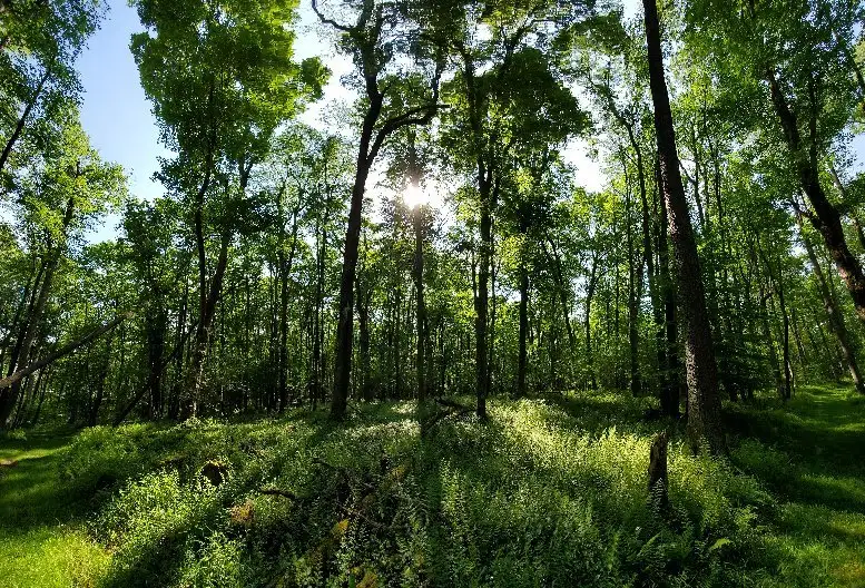 5_Herrington Manor State Park