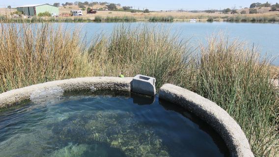 Franklin Hot Springs