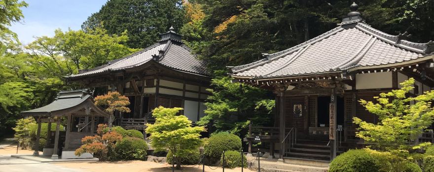 산다 시