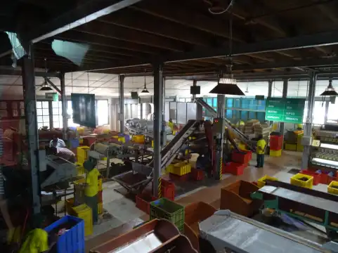 Hotels near Macwood Tea Factory