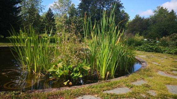University of Oulu Botanical Gardens