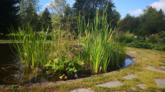 University of Oulu Botanical Gardens