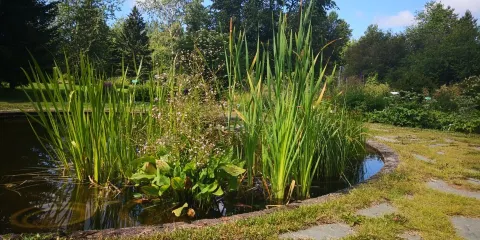 Botanical Garden, University of Oulu