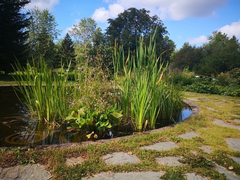 University of Oulu Botanical Gardens