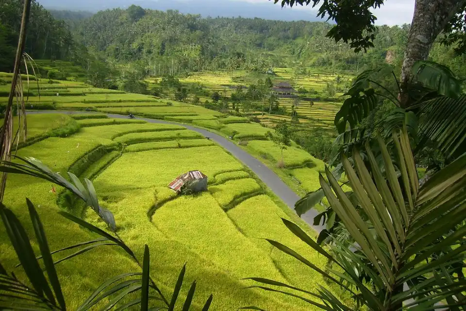 4_Bali ATV Ride