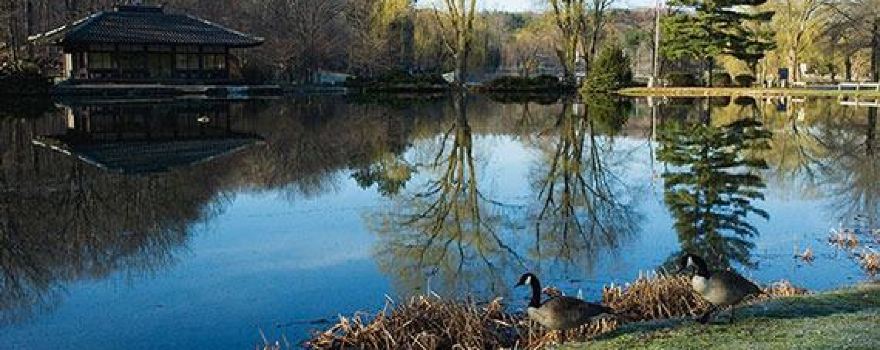 Leonard Park