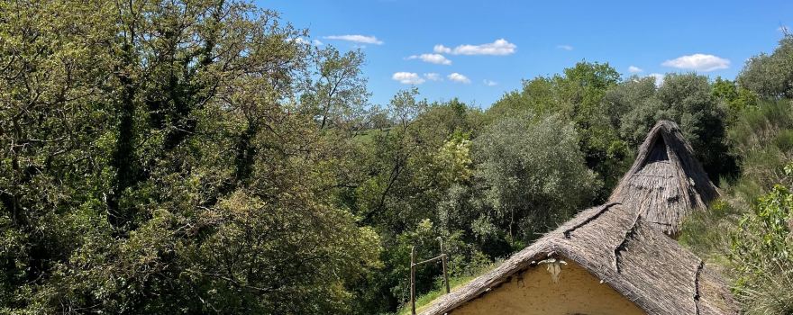 Campagnatico