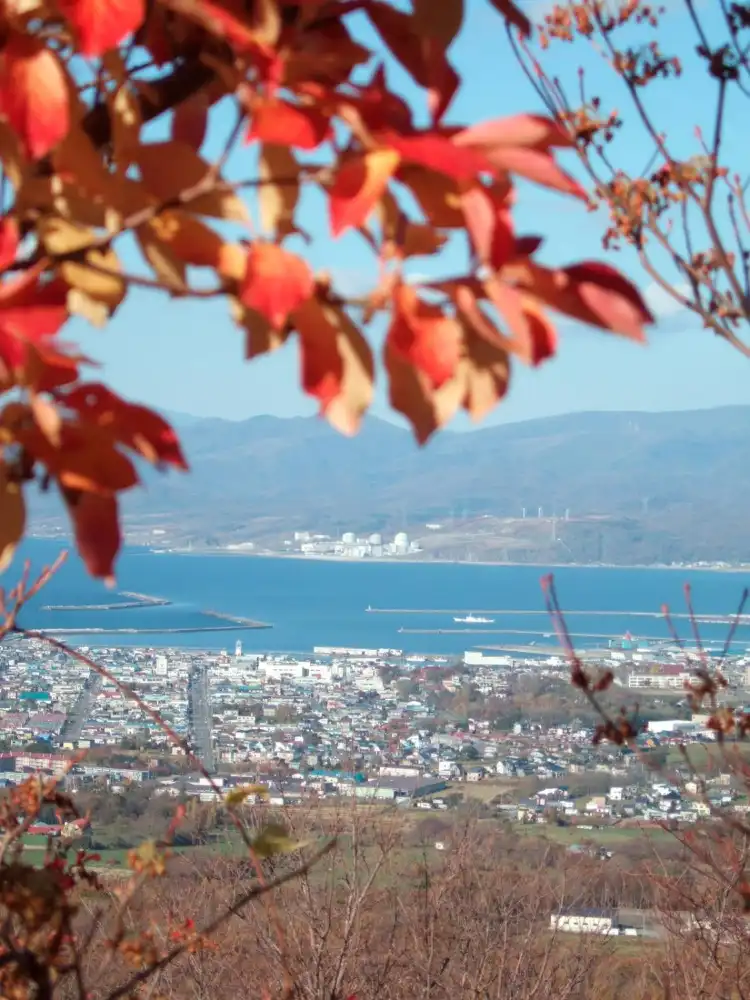岩內町