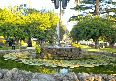 Napier