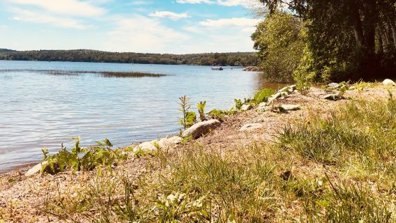 Damariscotta Lake State Park