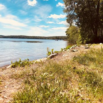 Damariscotta Lake State Park