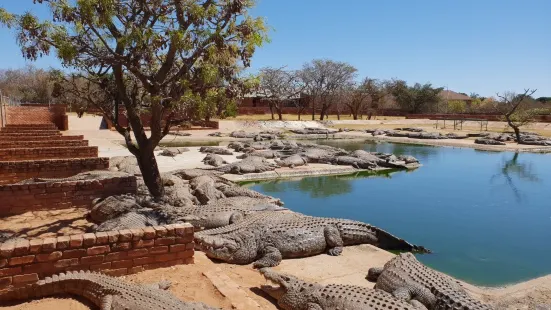 Thaba Kwena Crocodile Farm