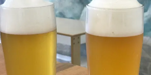 Suarez Family Brewery