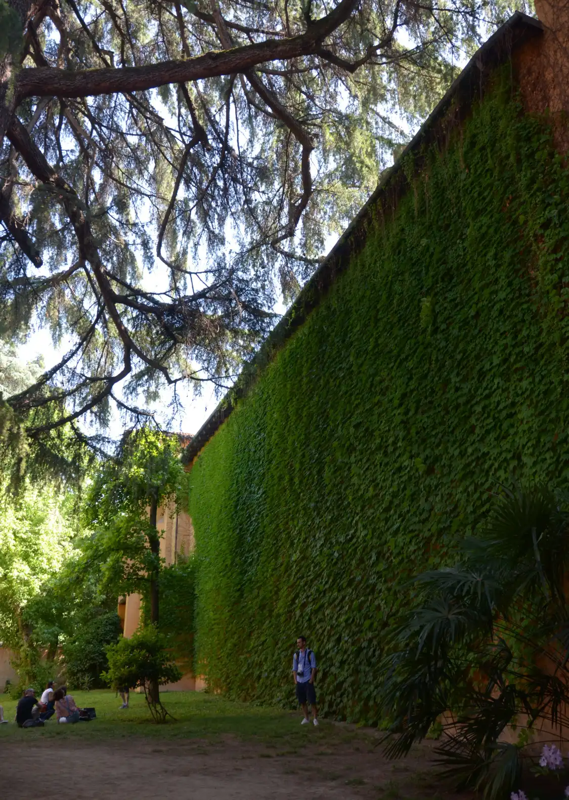 Hotel in zona Giardino di via Guerrazzi