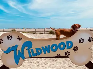 Wildwood Dog Park & Beach