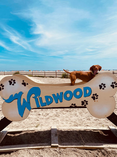 Wildwood Dog Park & Beach