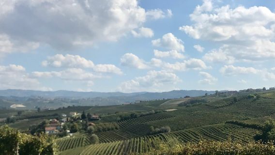 Panchina Gigante Rossa