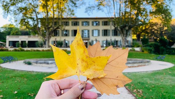 Domaine de Fontenille