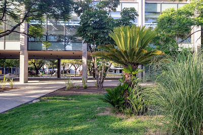 PLAZA CÍVICA
