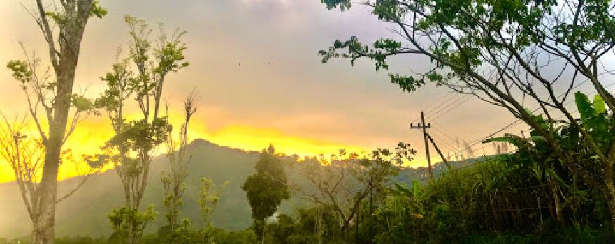Green Zone Indonesia
