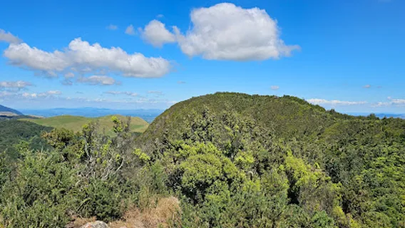 Mt Karangahake