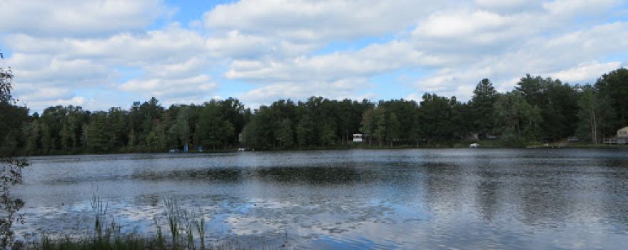 Bush Lake