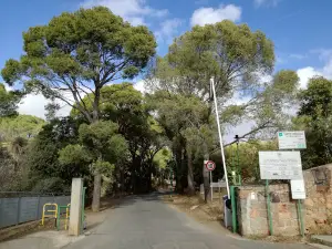 Parco Territoriale e Urbano della Pineta di Sinnai