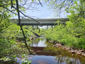 Holyoke Park