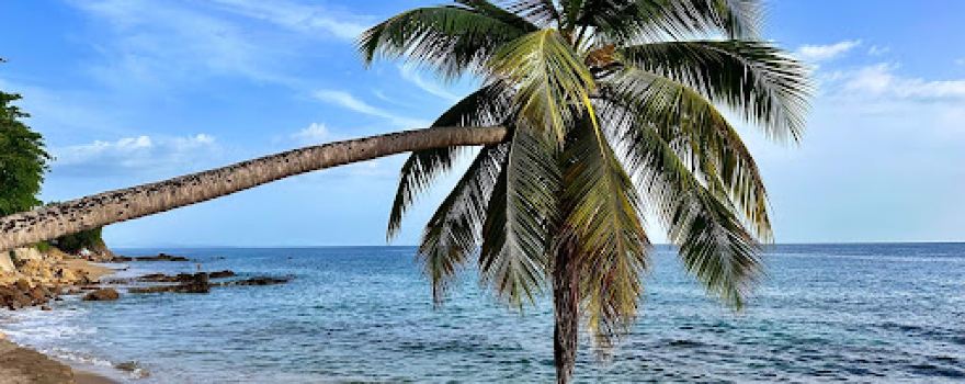 Playa Música