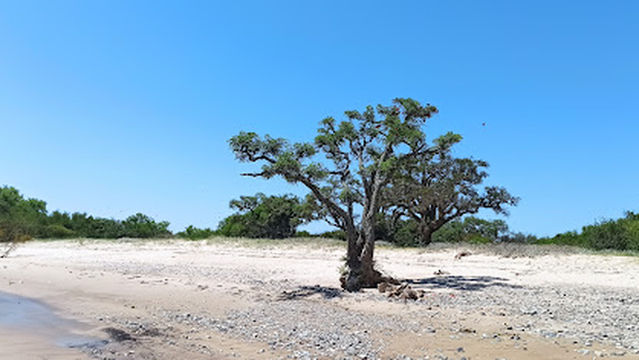 Punta De Piedras Pesquero