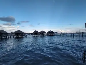 Labuyo Beach Resort
