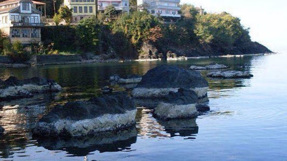 Arakli
