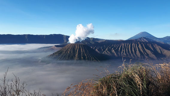 Bukit Cinta, Taman Nasional Bromo Tengger Semeru