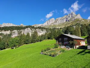 Sportbahnen Braunwald AG