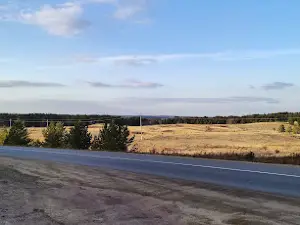 Akkol forests and rocks area