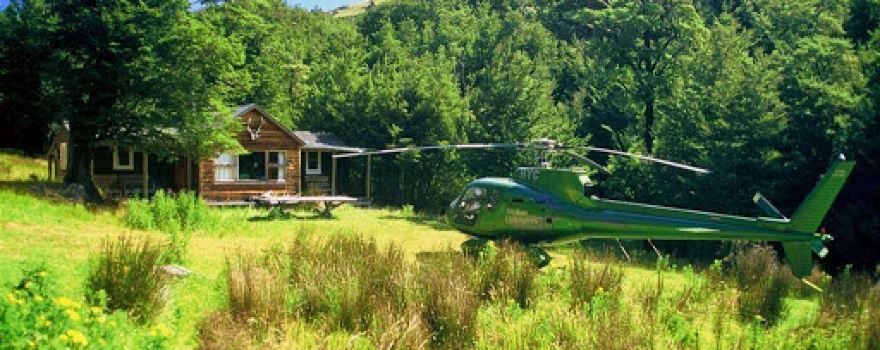 High Peak Hunting New Zealand